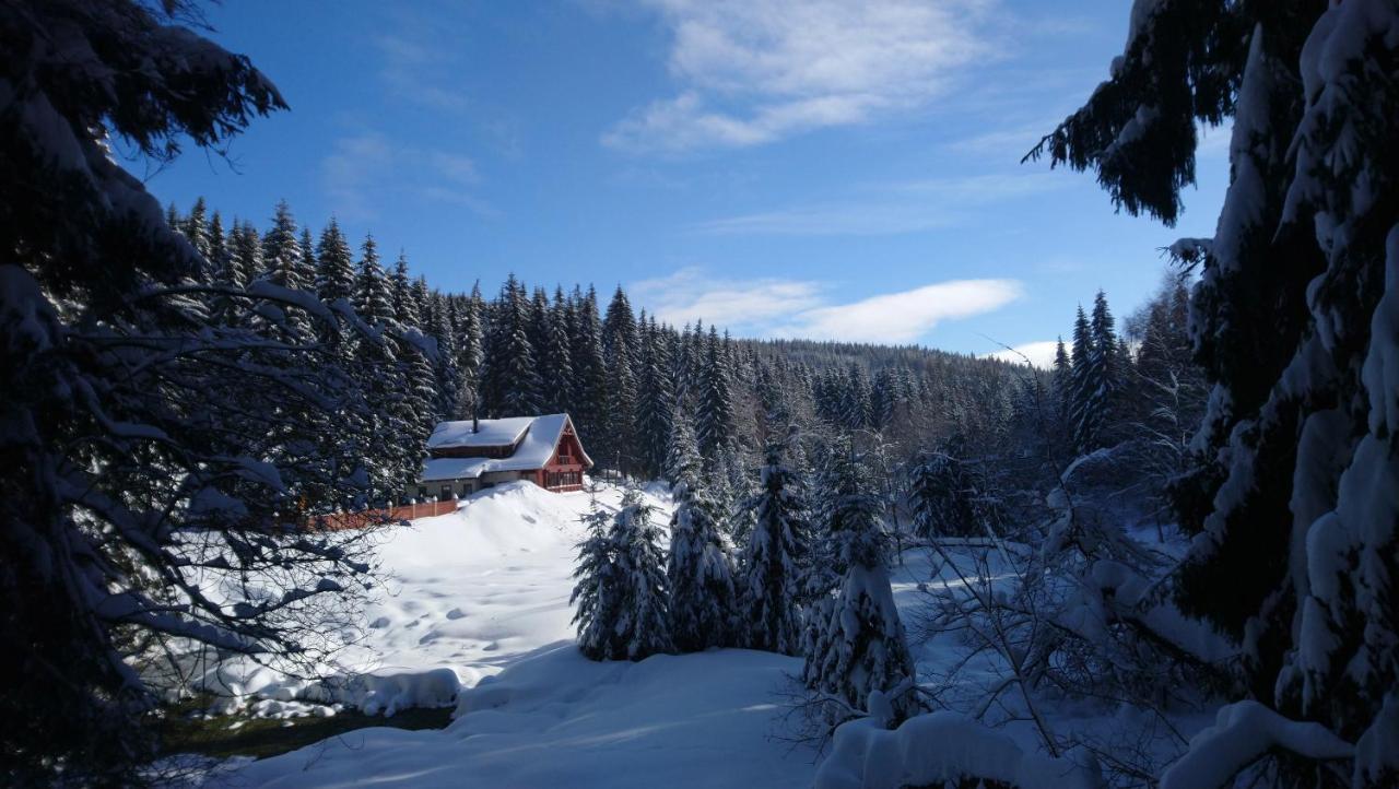 Jezírko lesní restaurant&penzion Jáchymov Esterno foto